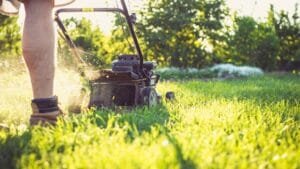 Lawn showing heat stress after hot summer weather