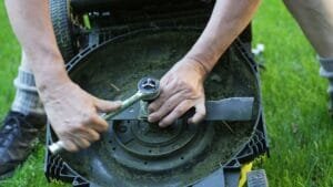 Sharp lawn mower blade for clean summer grass cutting