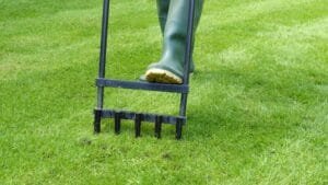 How to Revive a Dead Lawn Naturally