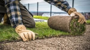 How to Revive a Dead Lawn Naturally