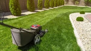 How to Revive a Dead Lawn Naturally