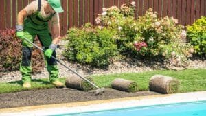 DIY backyard garden bed created on a budget