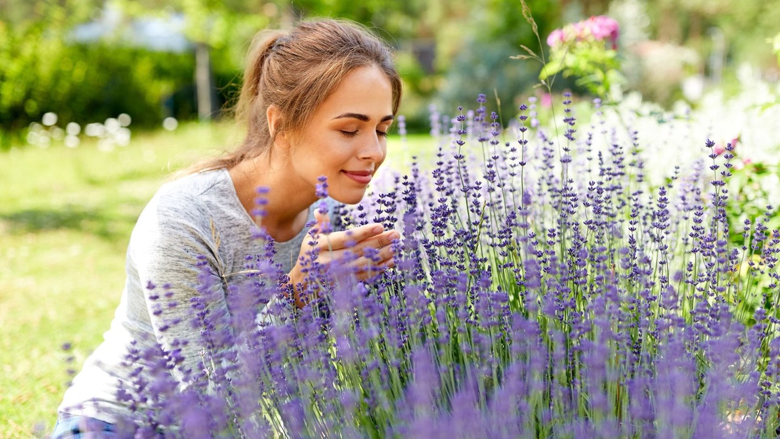 Lavender and rosemary in an easy care low maintenance garden