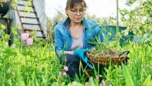 REMOVE Weeds Growing in Garden Beds
