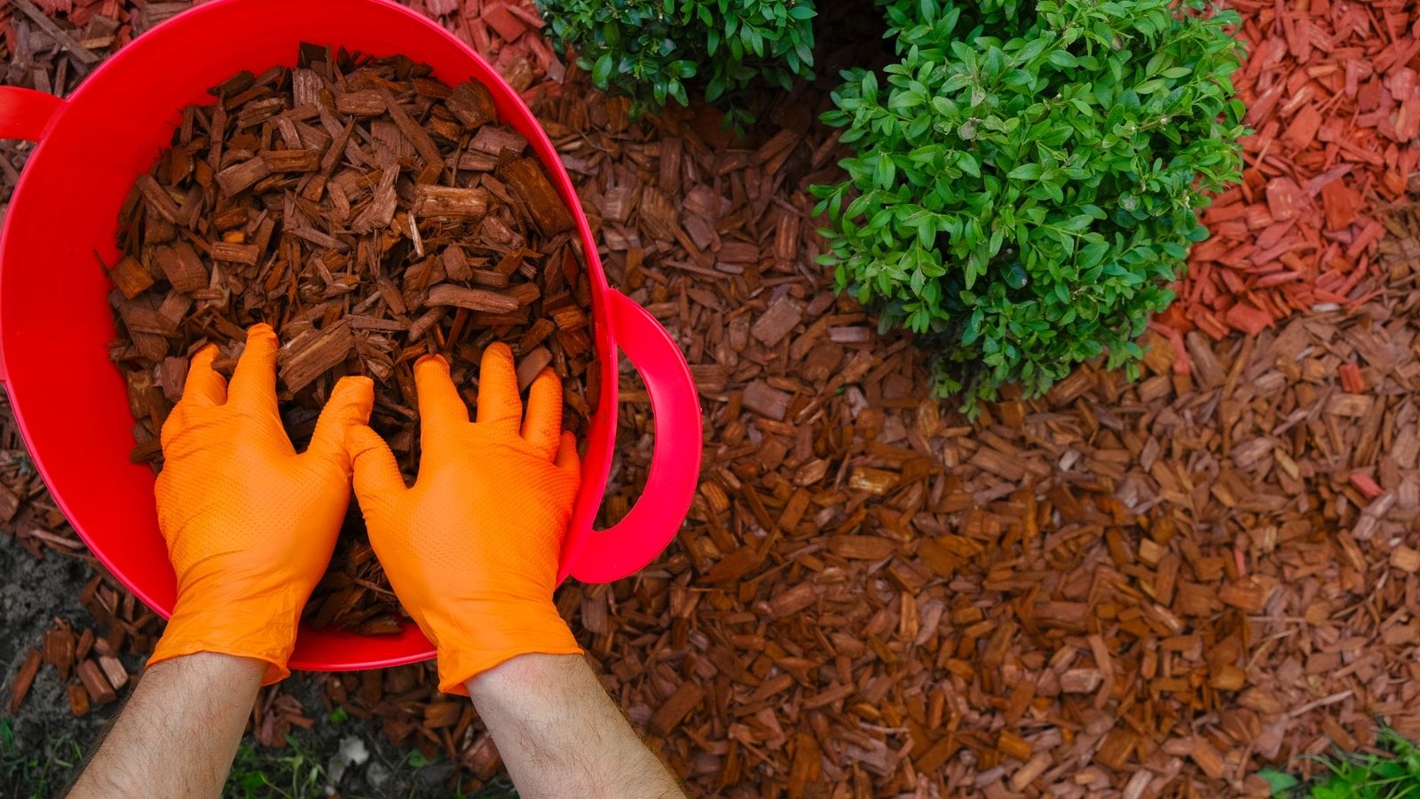 Homeowner applying mulch to a garden bed