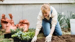 Homeowner applying mulch to a garden bed